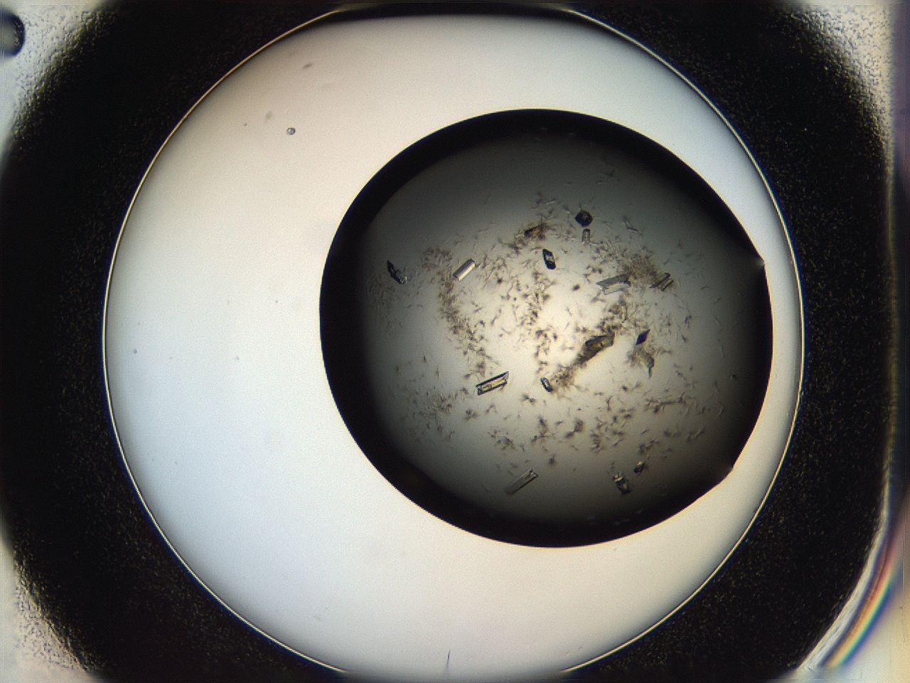 05hq_D2_ImagerDefaults_9.jpg