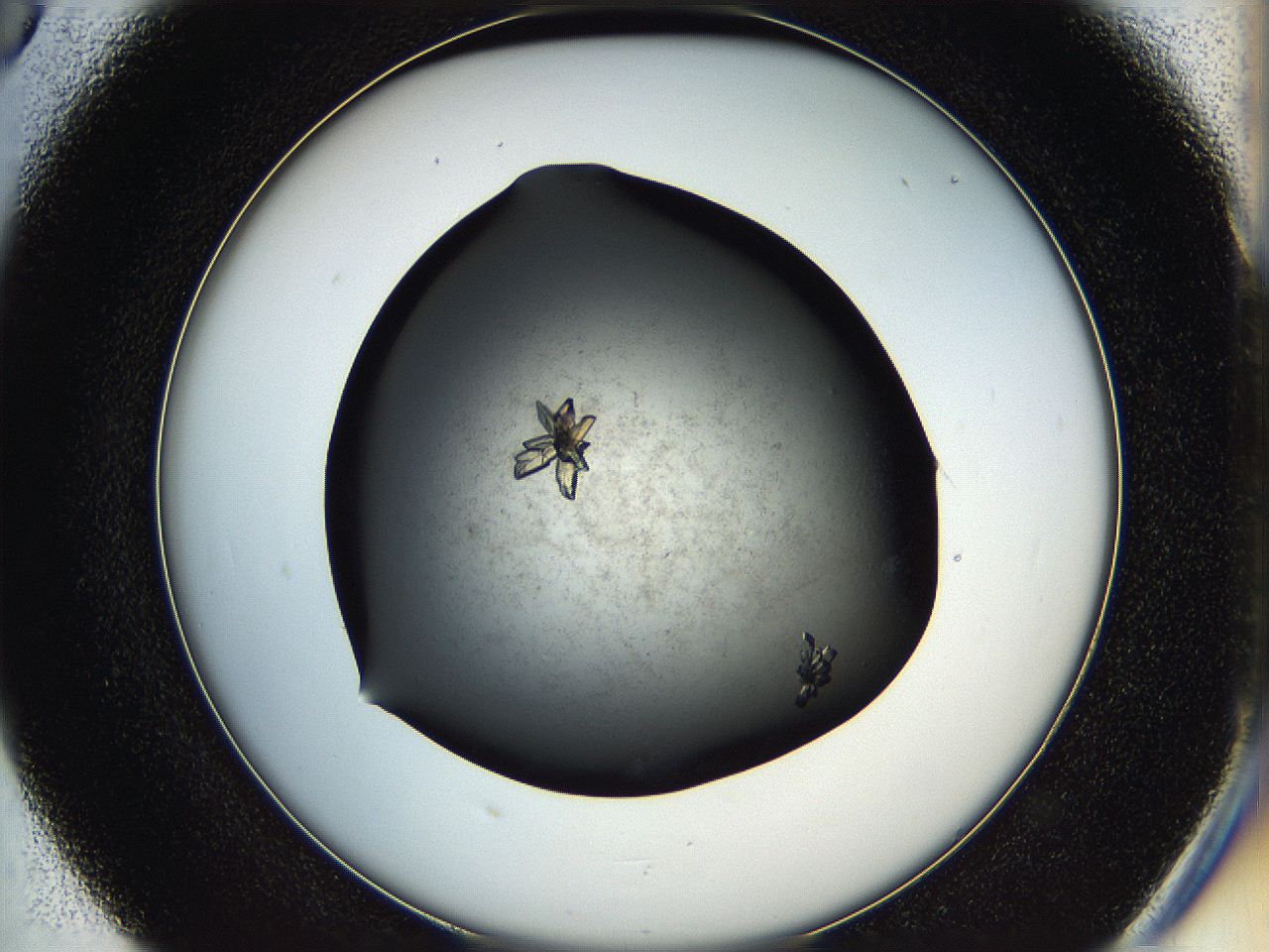 05hq_D5_ImagerDefaults_8.jpg