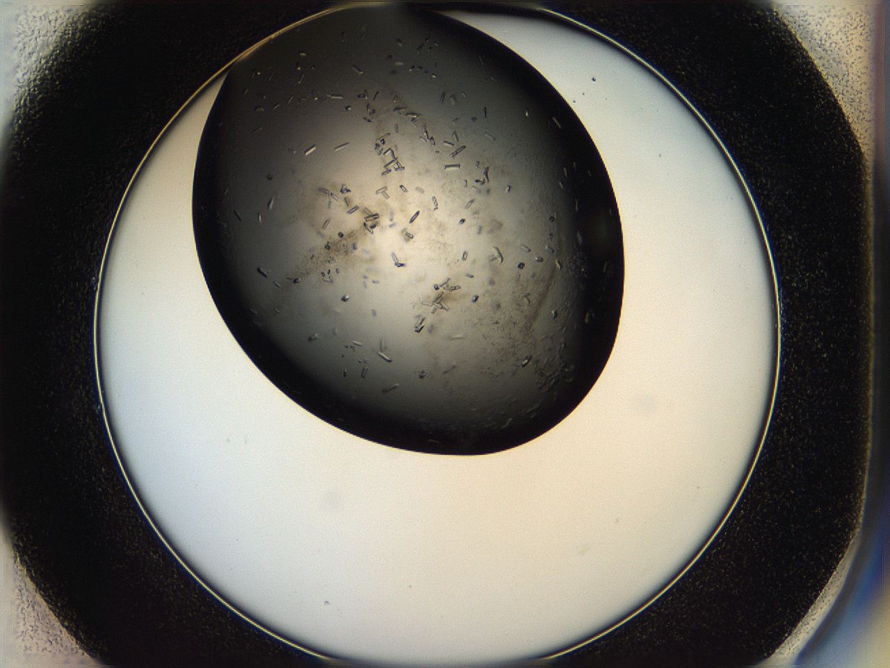 05hq_E1_ImagerDefaults_8.jpg