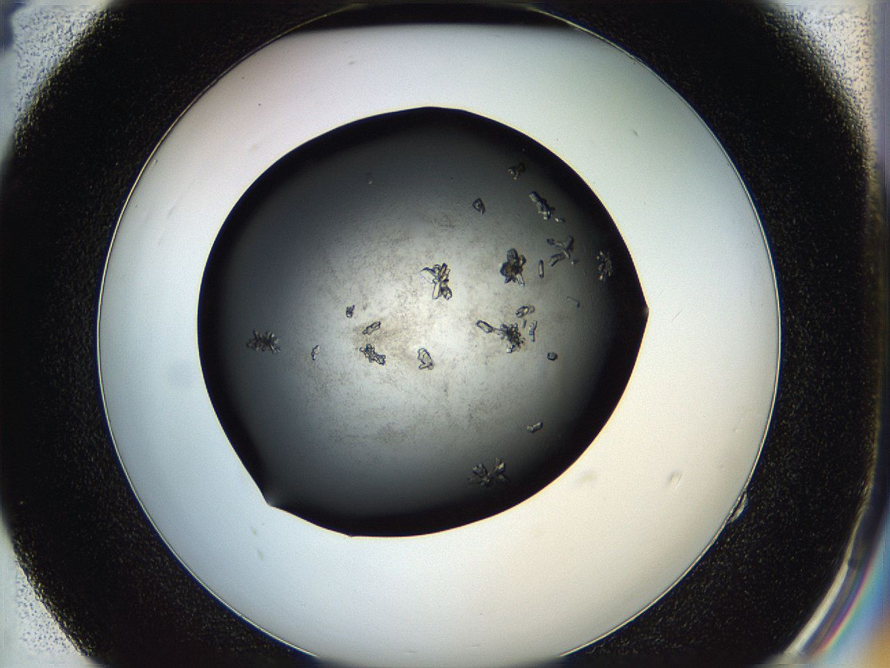 05hq_E4_ImagerDefaults_8.jpg