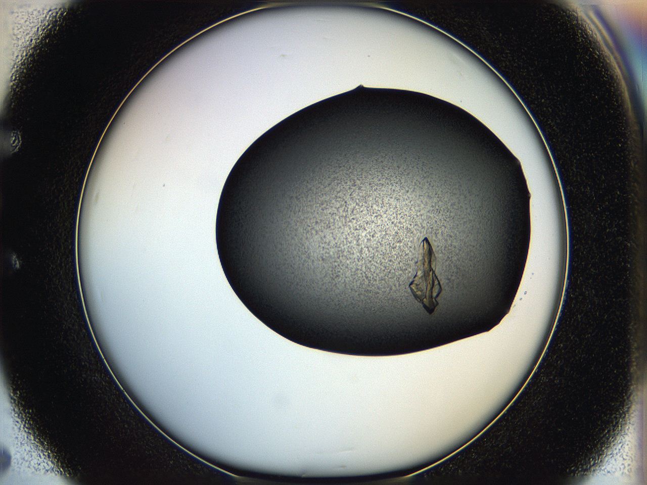 05hq_E5_ImagerDefaults_9.jpg