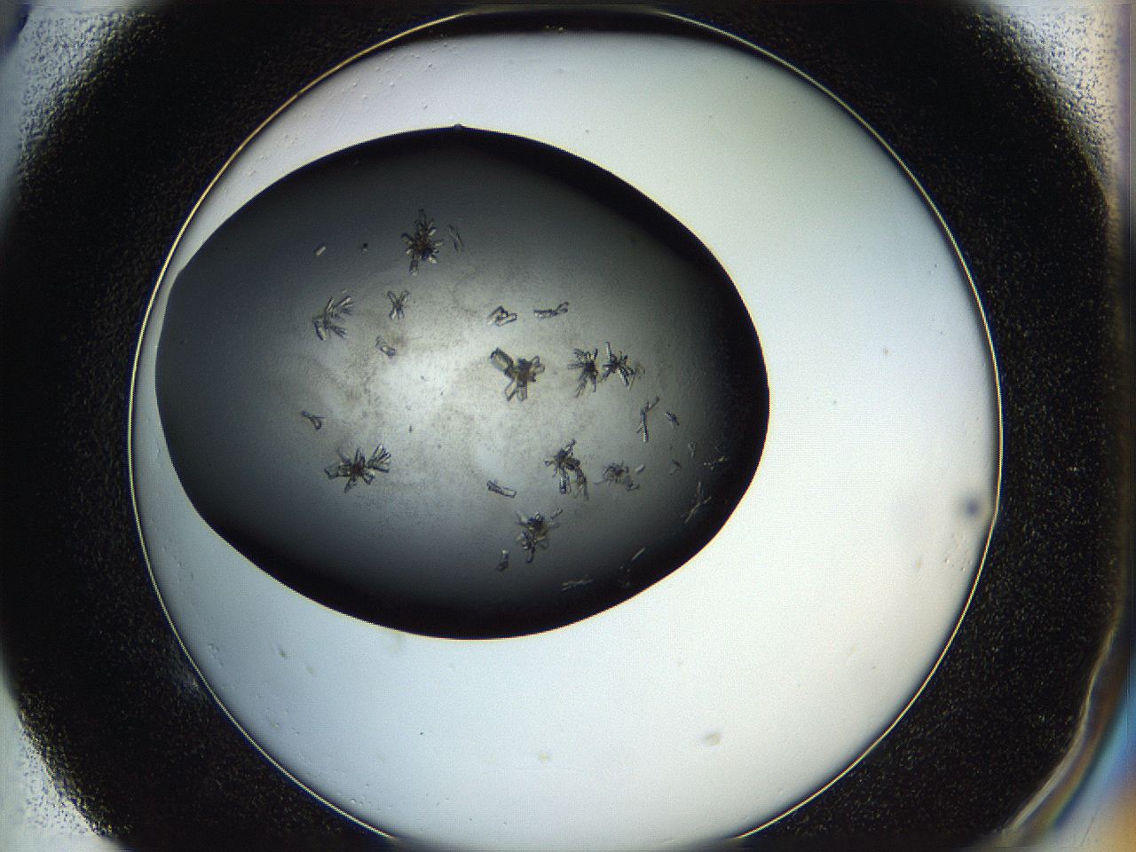 05hq_E5_ImagerDefaults_8.jpg