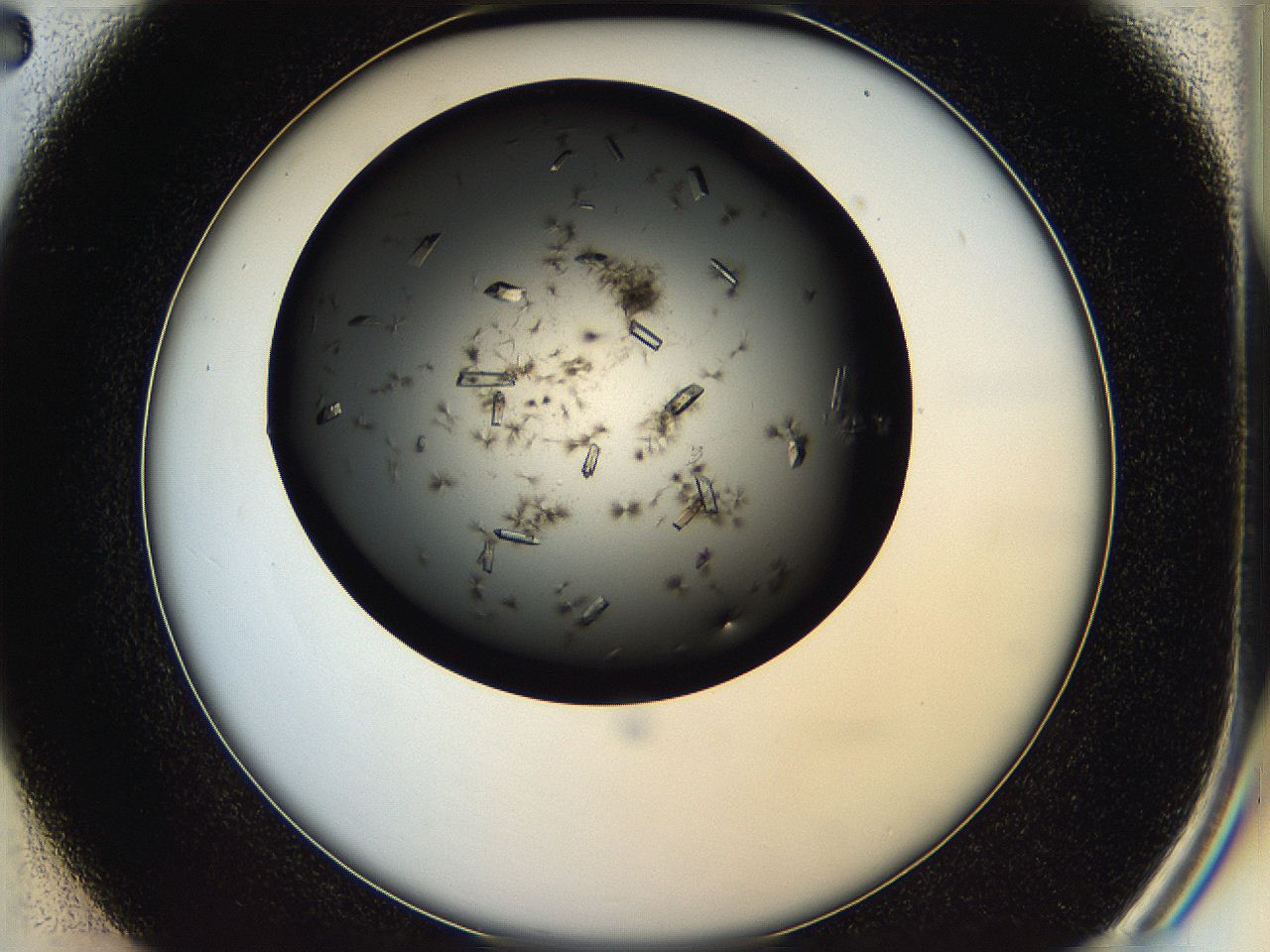 05hq_C2_ImagerDefaults_9.jpg