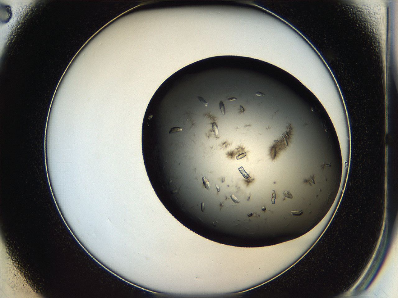 05hq_B2_ImagerDefaults_8.jpg