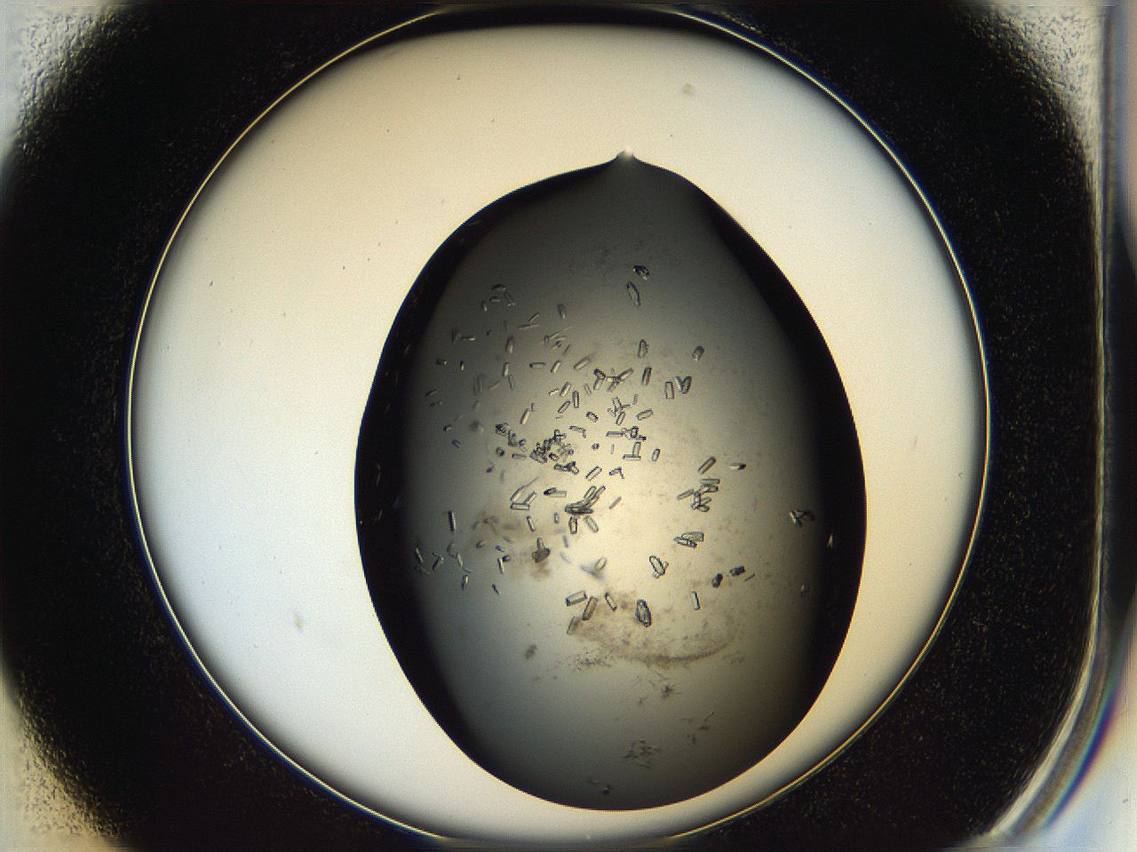 05hq_B1_ImagerDefaults_8.jpg