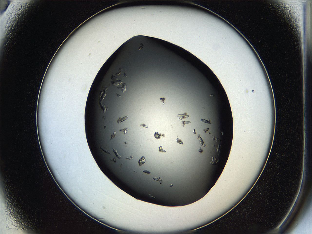 05hq_A3_ImagerDefaults_7.jpg