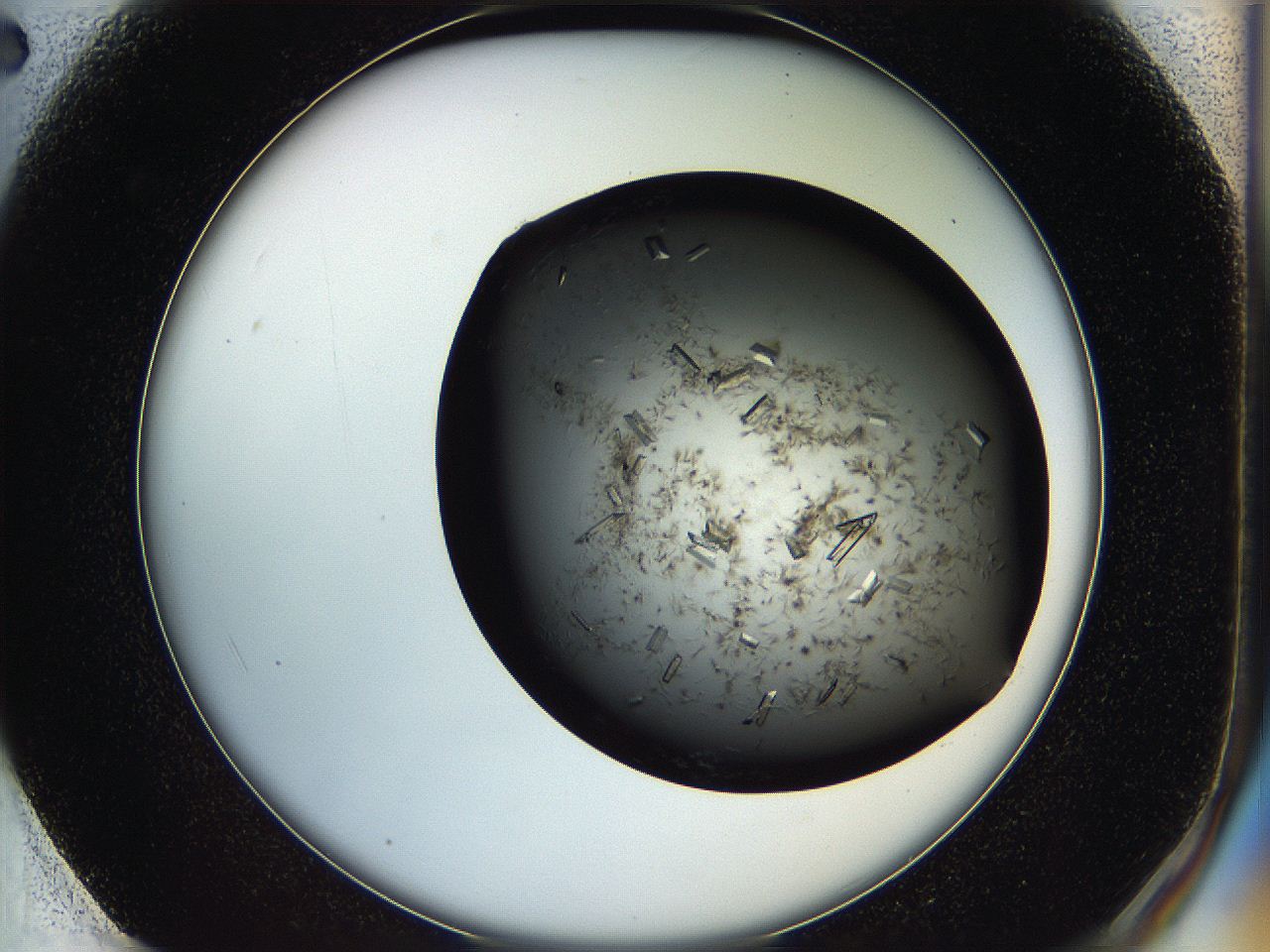 05hq_F2_ImagerDefaults_8.jpg