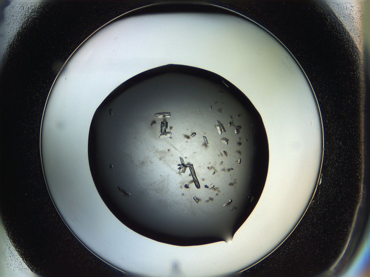 05hq_F4_ImagerDefaults_8.jpg