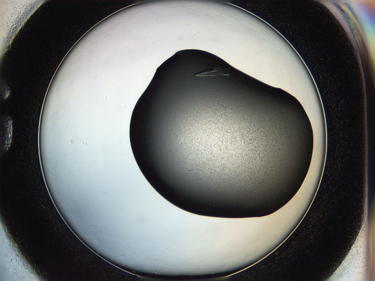 05hq_G1_ImagerDefaults_9.jpg