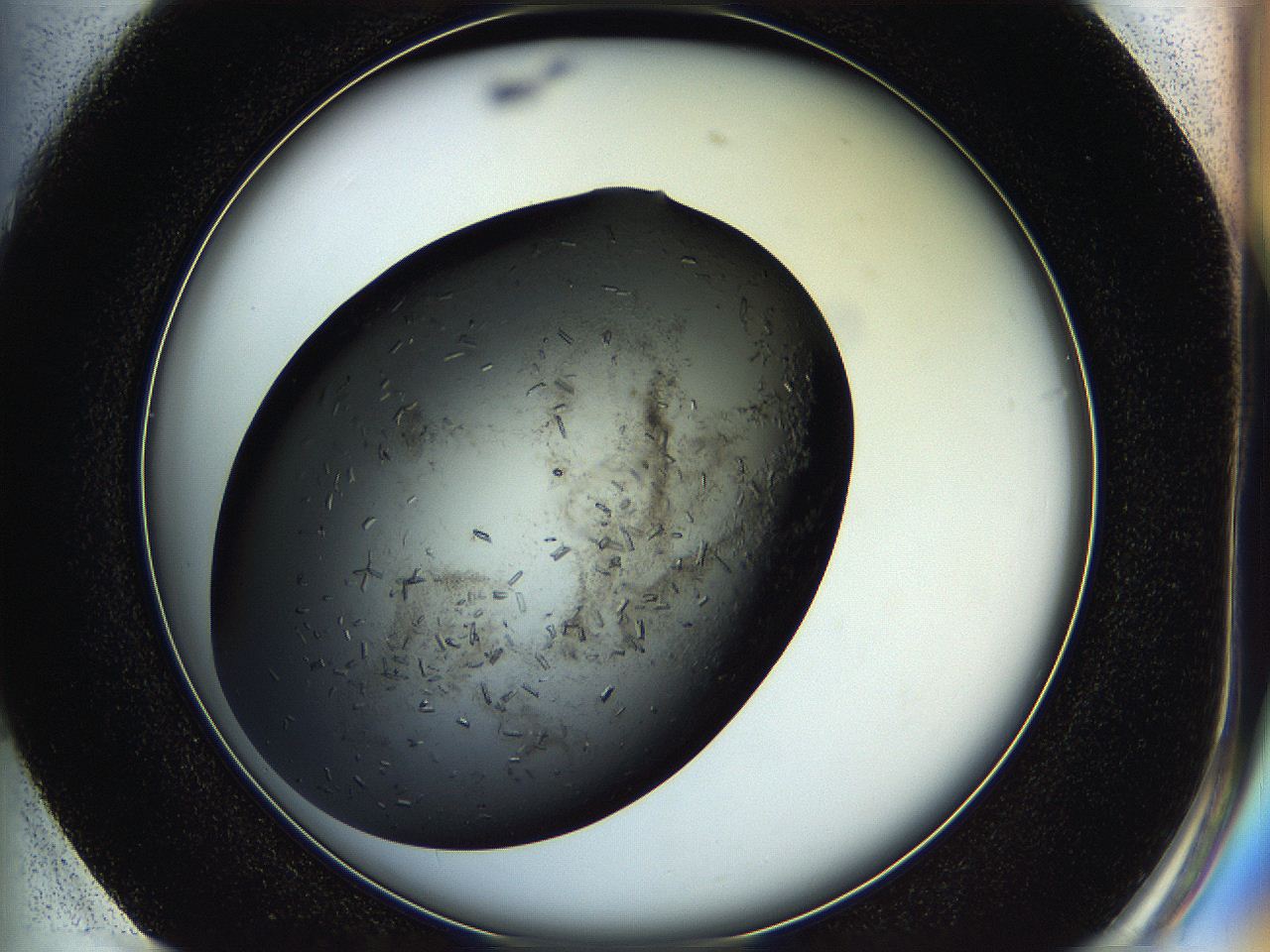 05hq_G1_ImagerDefaults_7.jpg