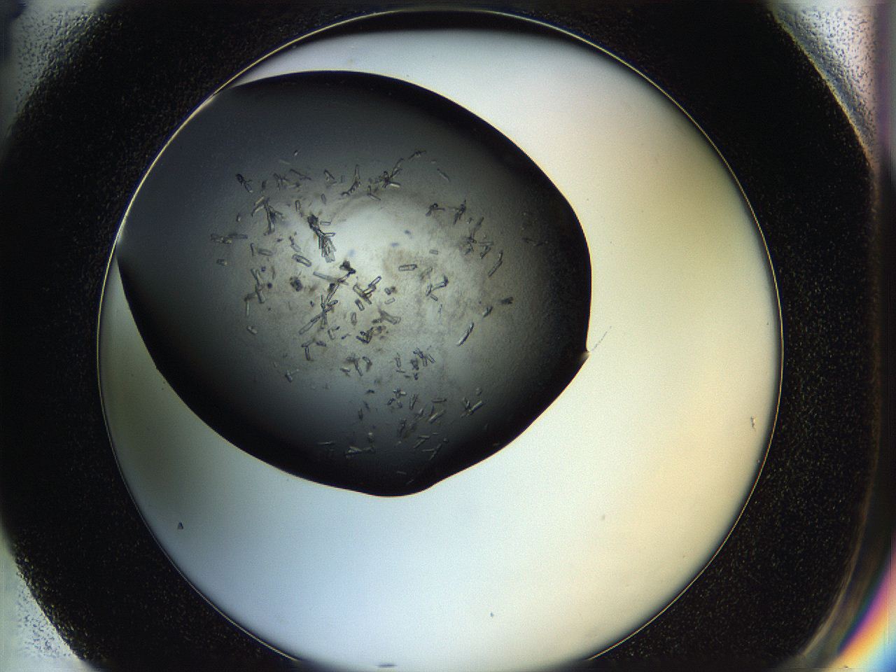 05hq_G4_ImagerDefaults_8.jpg