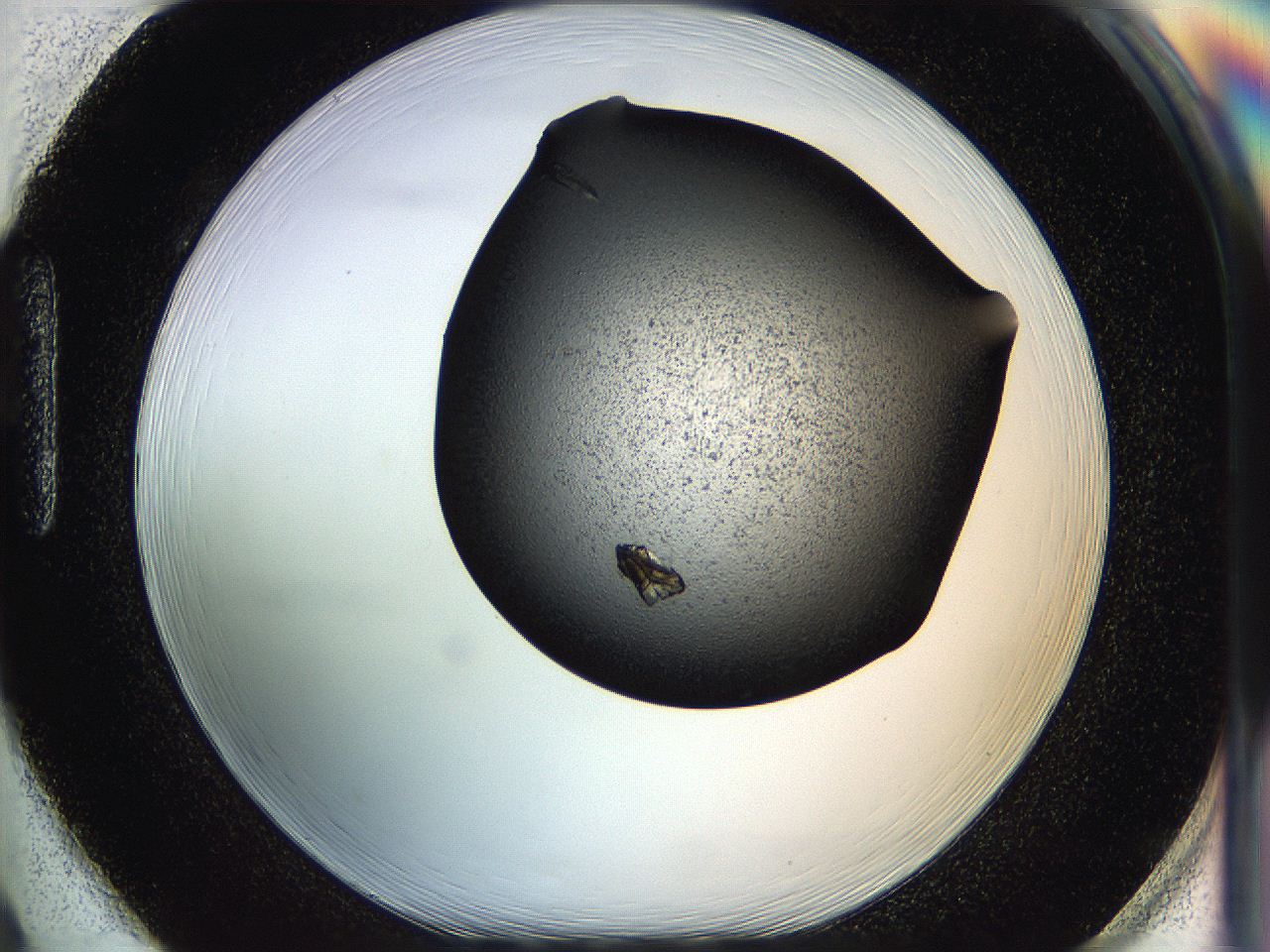 05hq_H2_ImagerDefaults_8.jpg