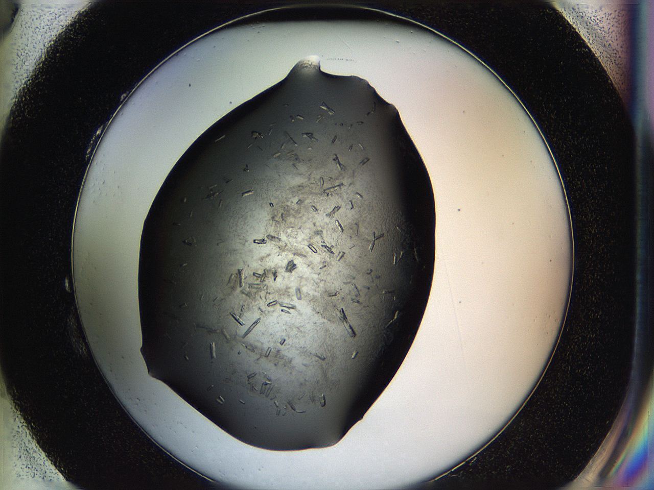 05hq_H3_ImagerDefaults_8.jpg