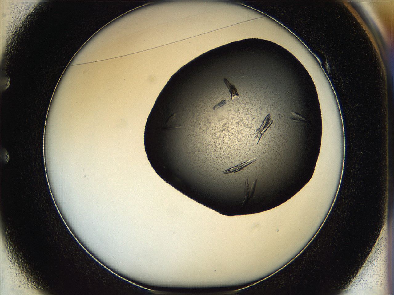 05ht_E1_ImagerDefaults_8.jpg