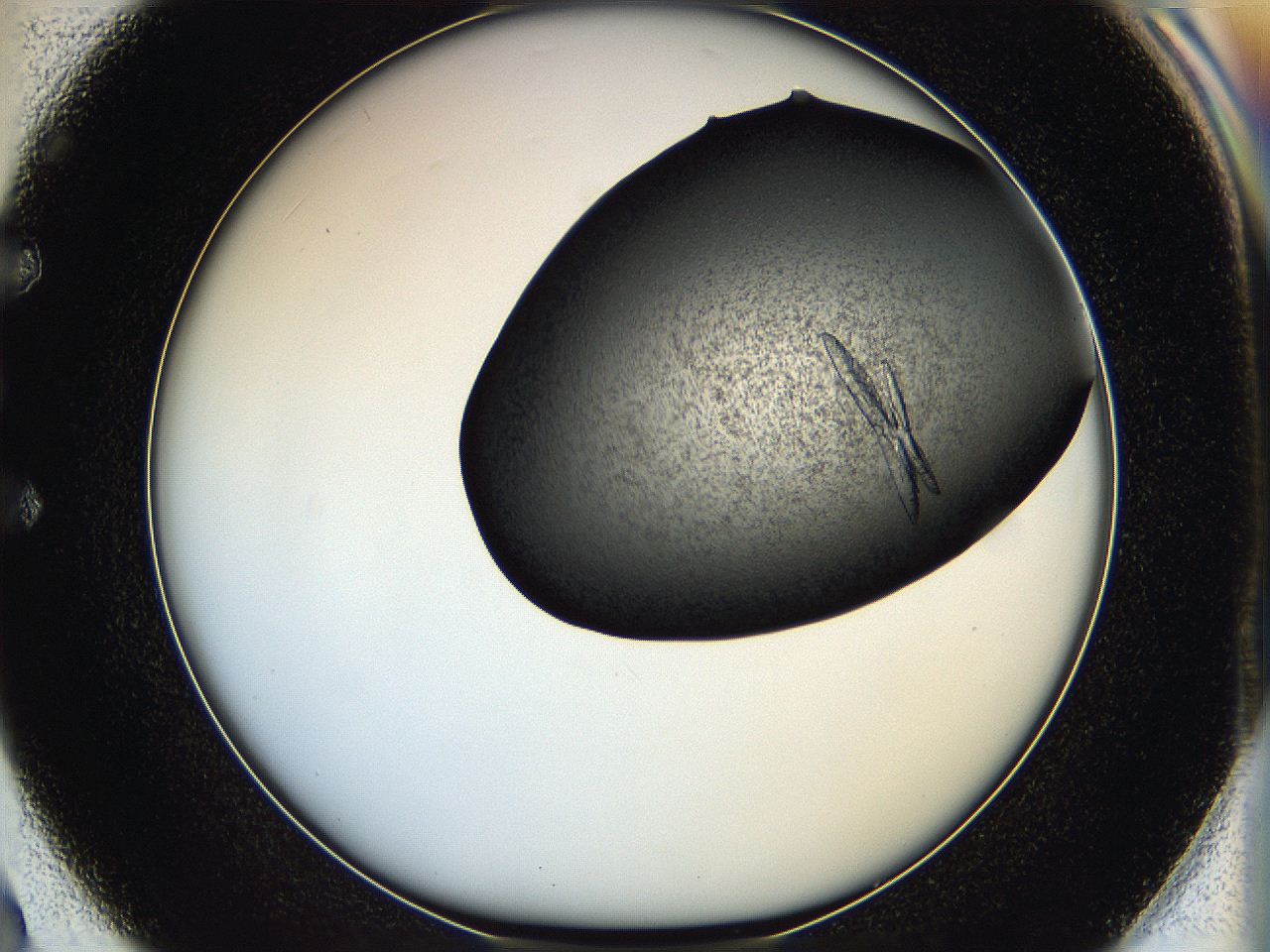 05ht_E2_ImagerDefaults_8.jpg