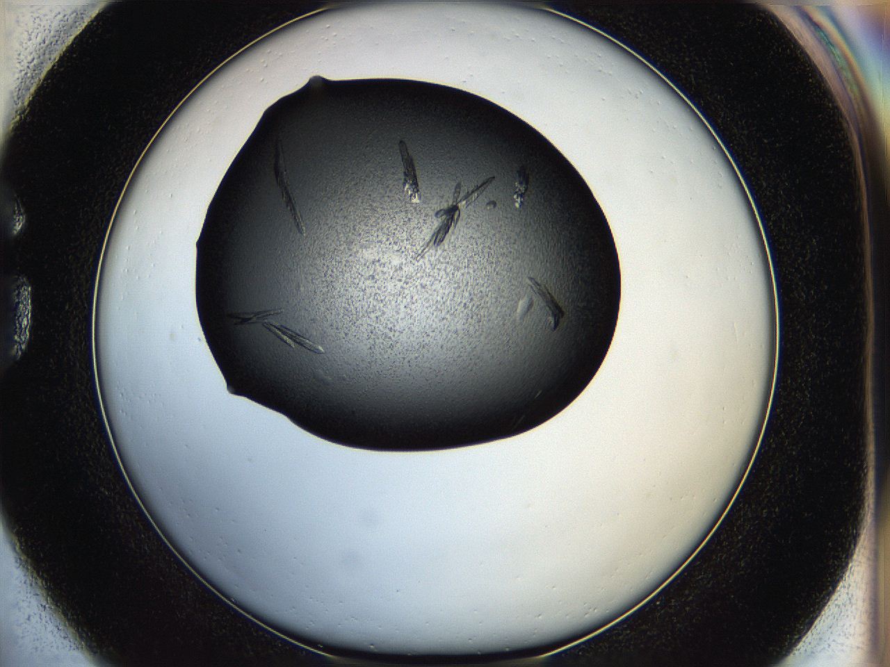 05ht_G1_ImagerDefaults_7.jpg