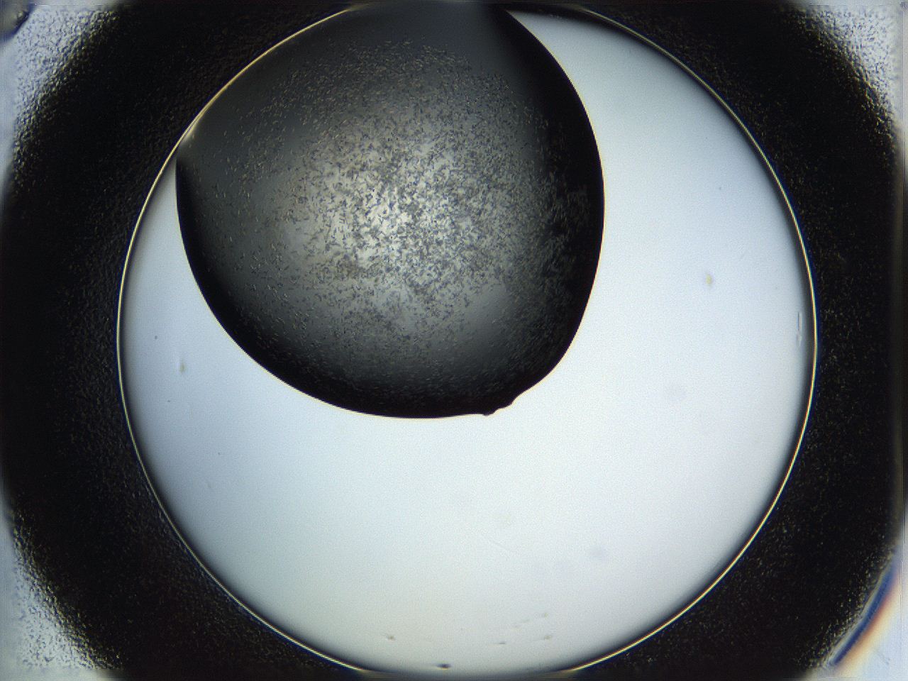 05hu_B8_ImagerDefaults_6.jpg