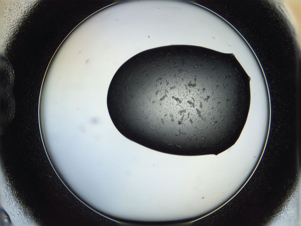 05hu_B9_ImagerDefaults_6.jpg