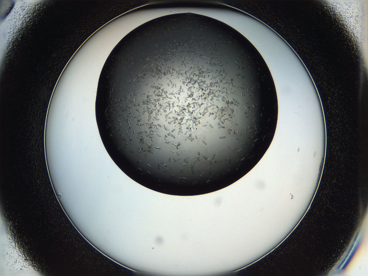 05hu_C6_ImagerDefaults_6.jpg