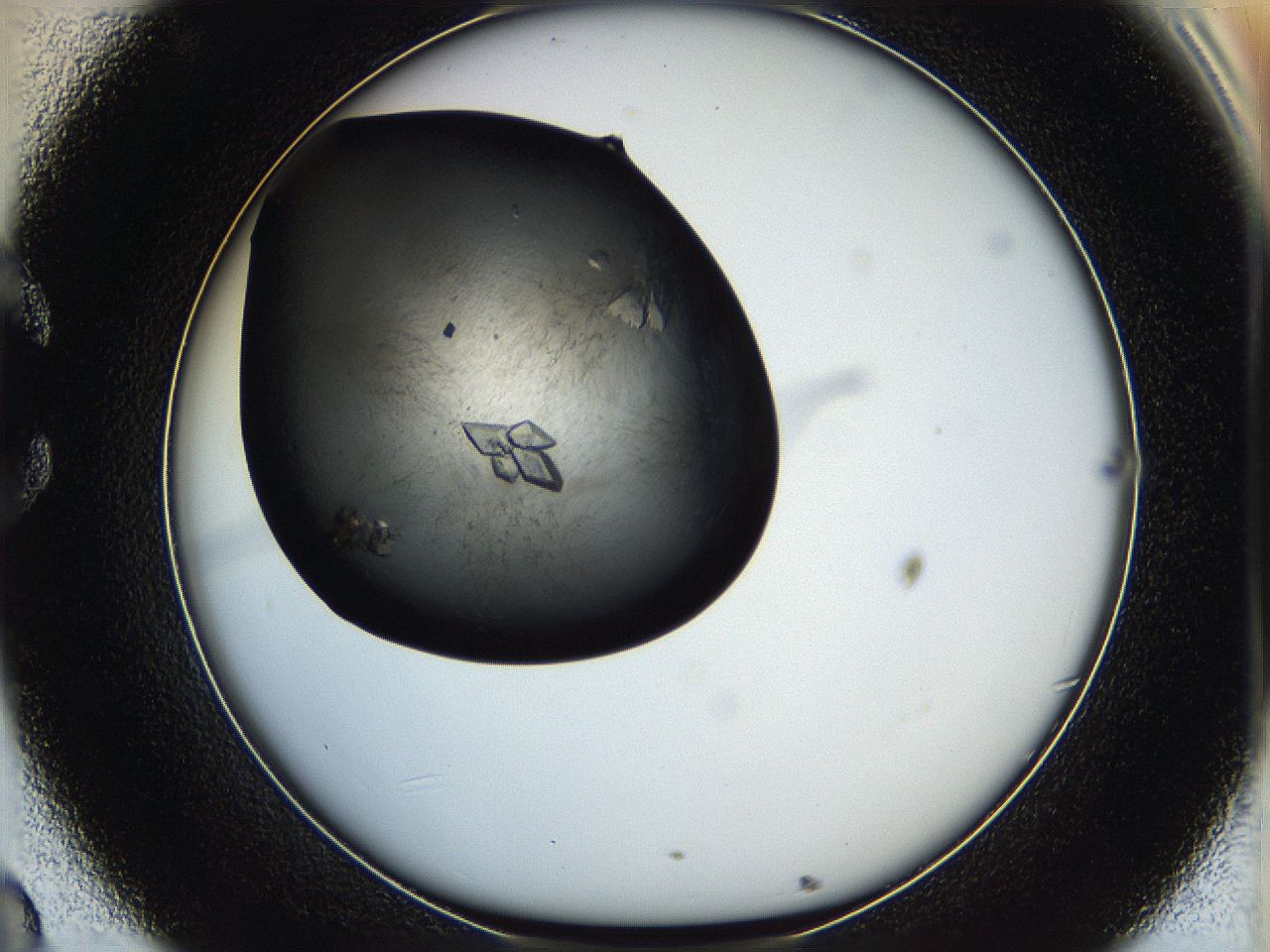 05hu_C8_ImagerDefaults_7.jpg