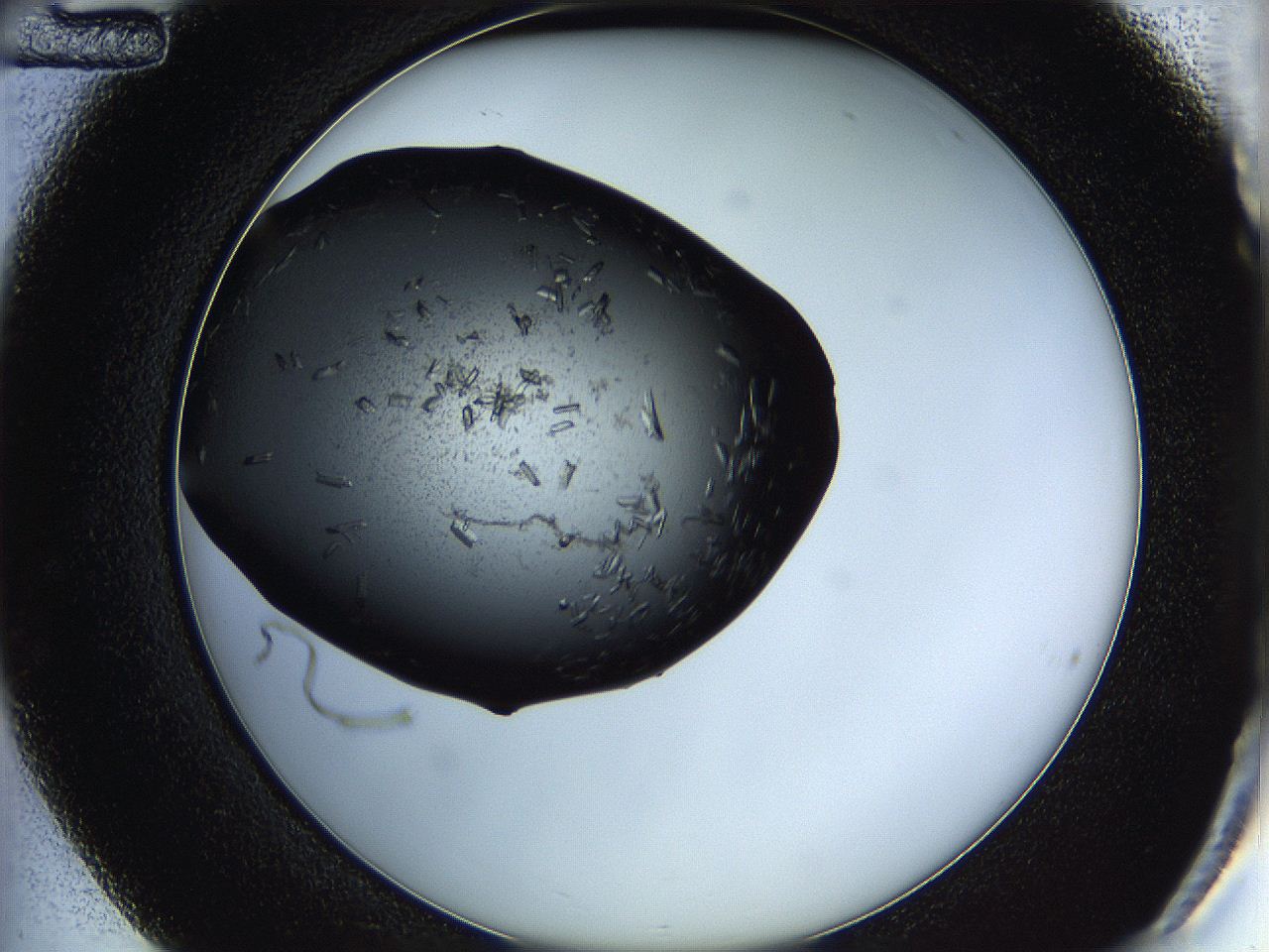 05hu_C12_ImagerDefaults_7.jpg