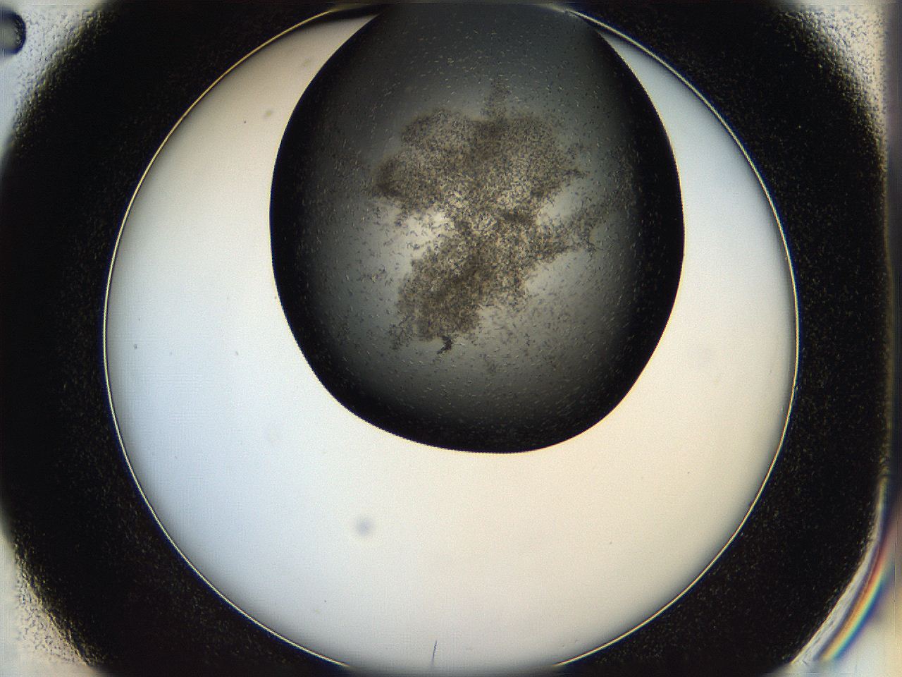 05hu_D2_ImagerDefaults_6.jpg