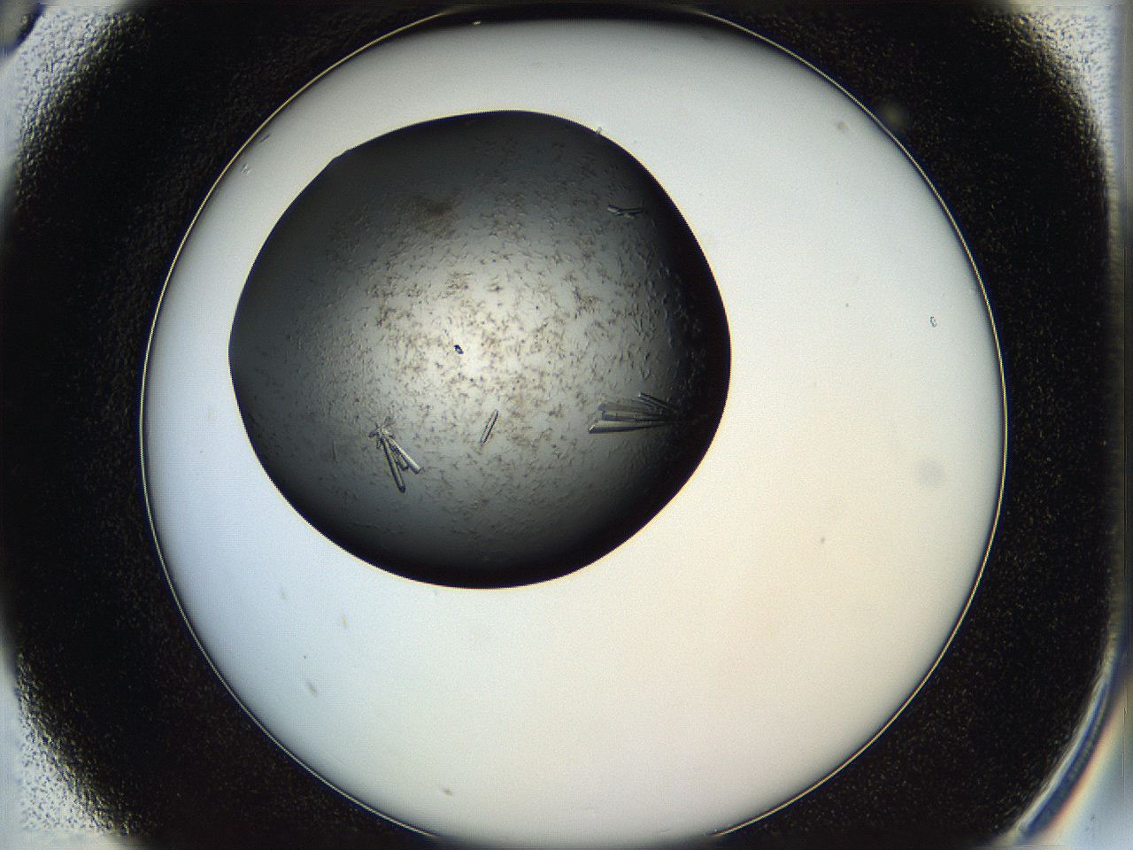 05hu_A5_ImagerDefaults_8.jpg