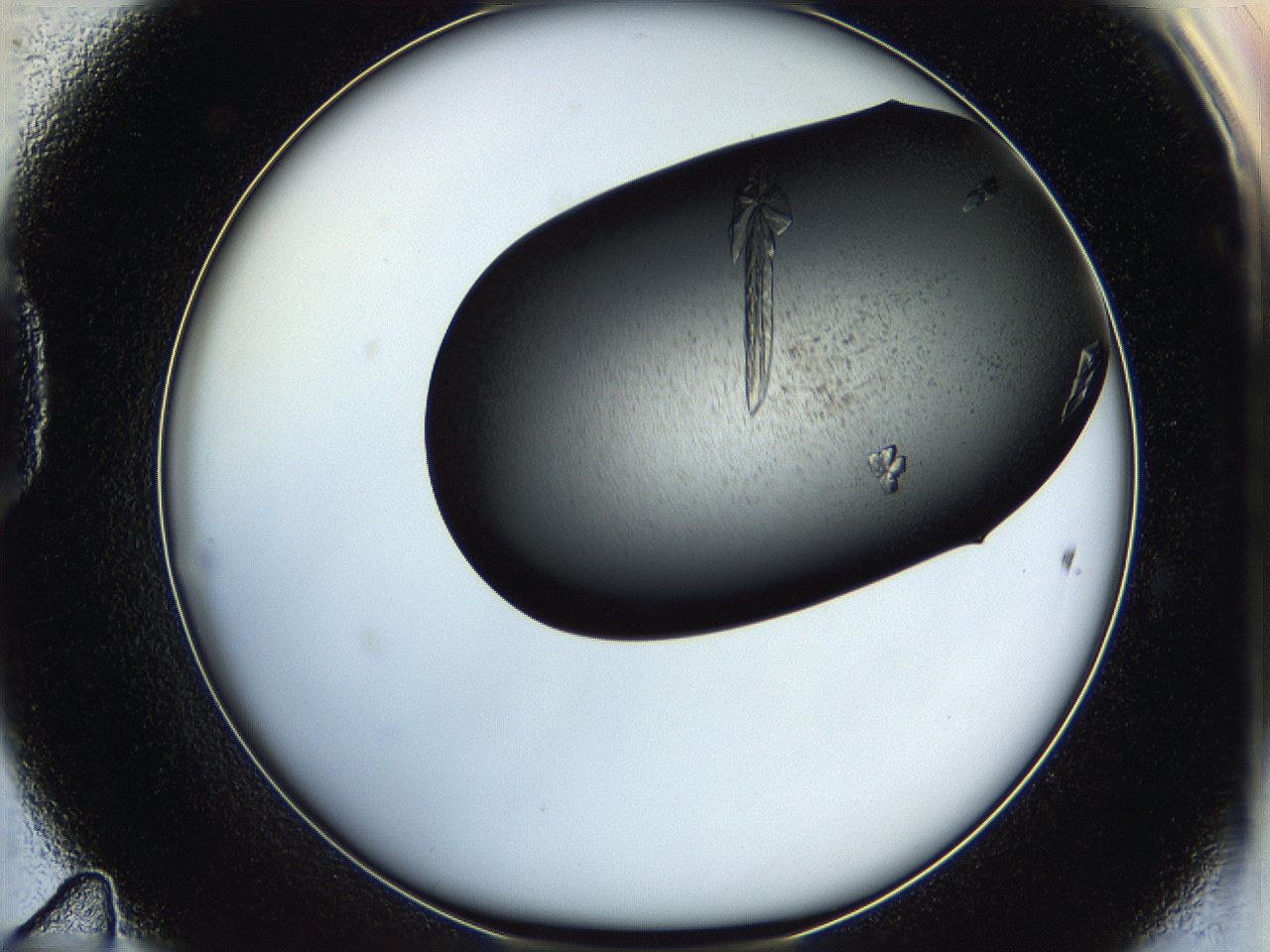 05hu_D11_ImagerDefaults_9.jpg