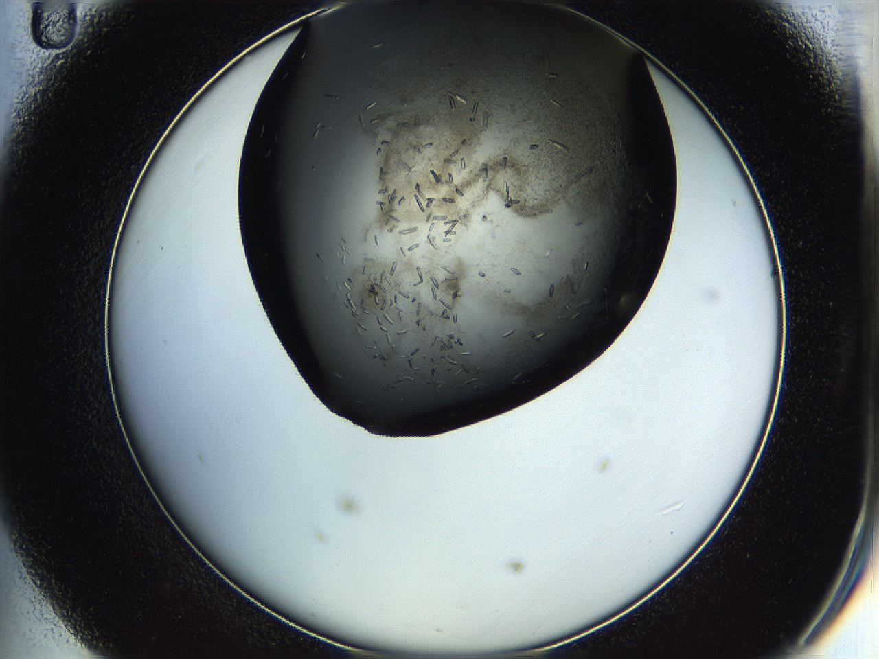 05hu_D11_ImagerDefaults_7.jpg