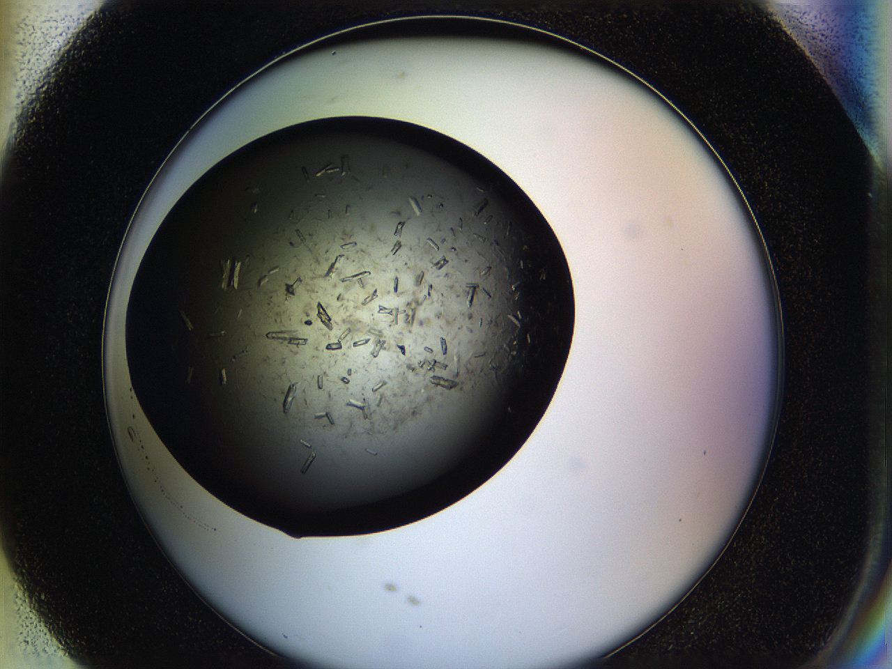 05hu_H7_ImagerDefaults_8.jpg