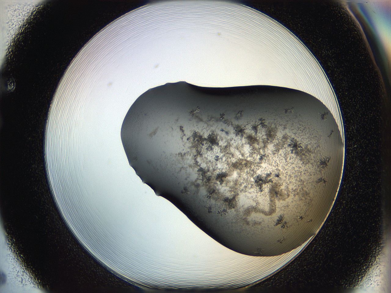 05hu_F5_ImagerDefaults_6.jpg