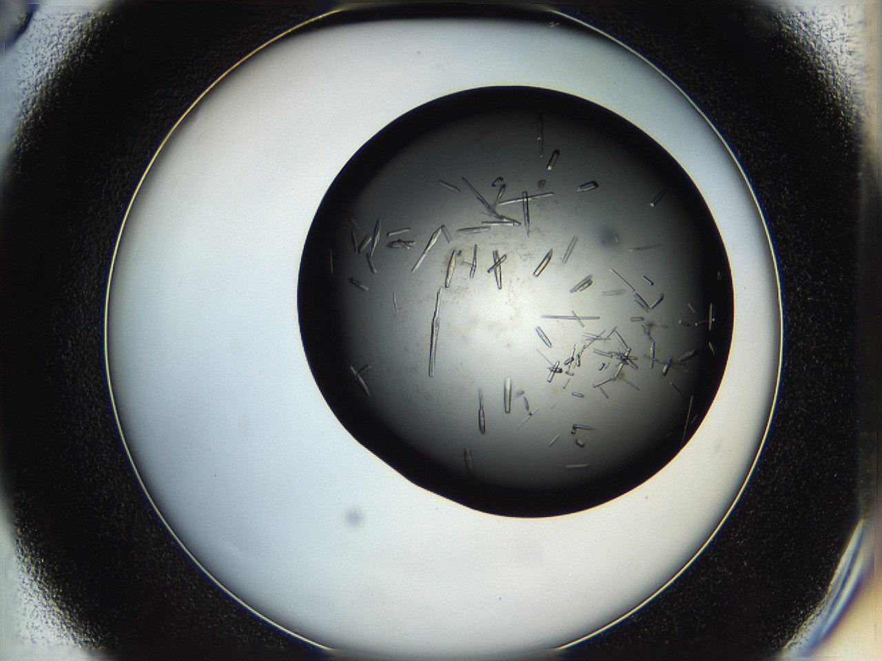 05hu_D6_ImagerDefaults_8.jpg