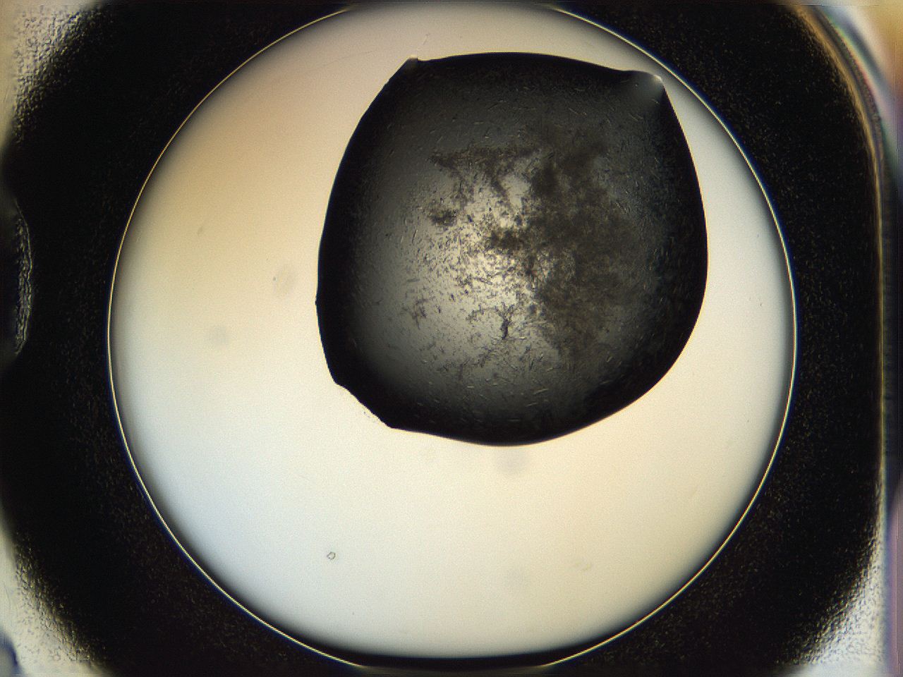 05hv_D2_ImagerDefaults_6.jpg