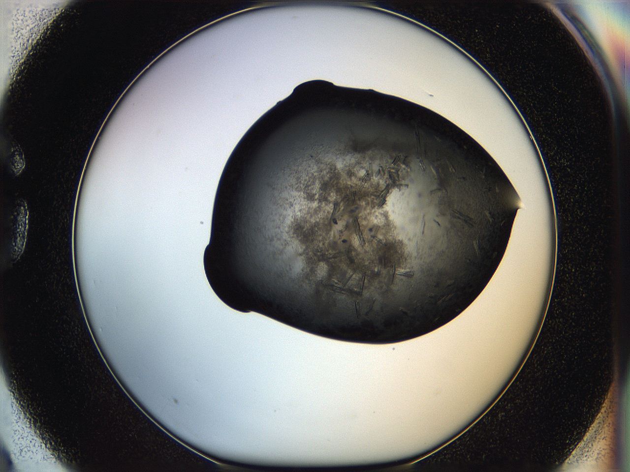 05hv_G3_ImagerDefaults_7.jpg