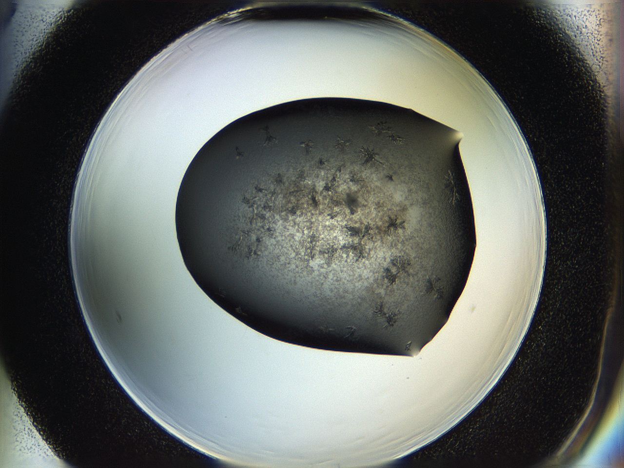 05hv_F5_ImagerDefaults_6.jpg
