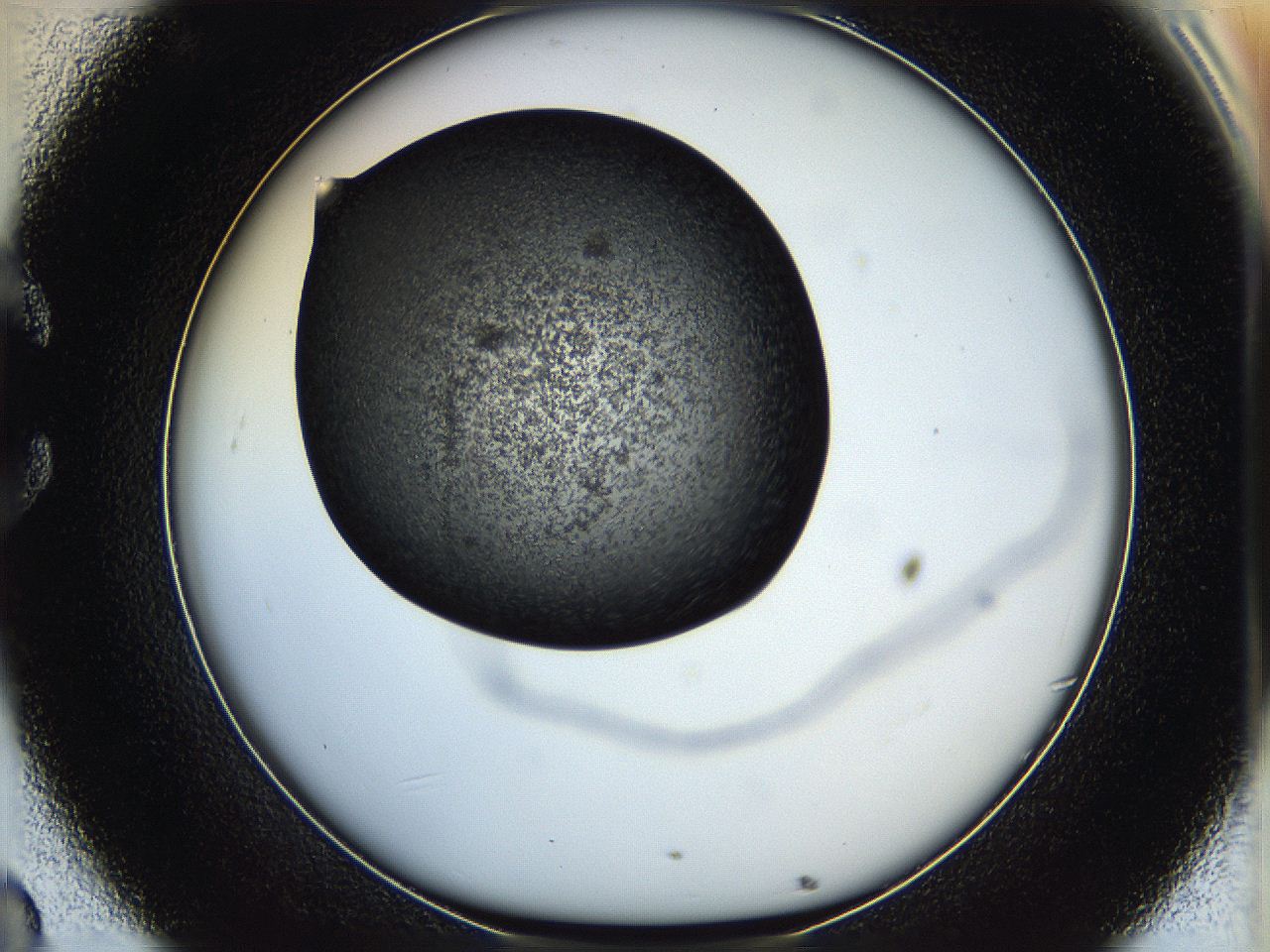 05hv_C8_ImagerDefaults_6.jpg