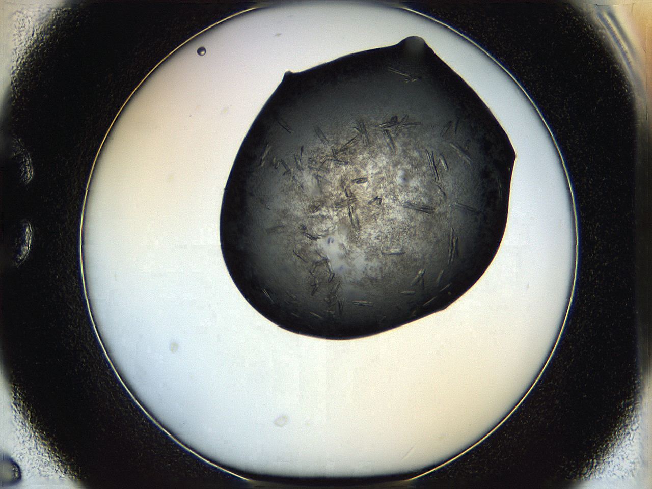 05hv_C6_ImagerDefaults_7.jpg
