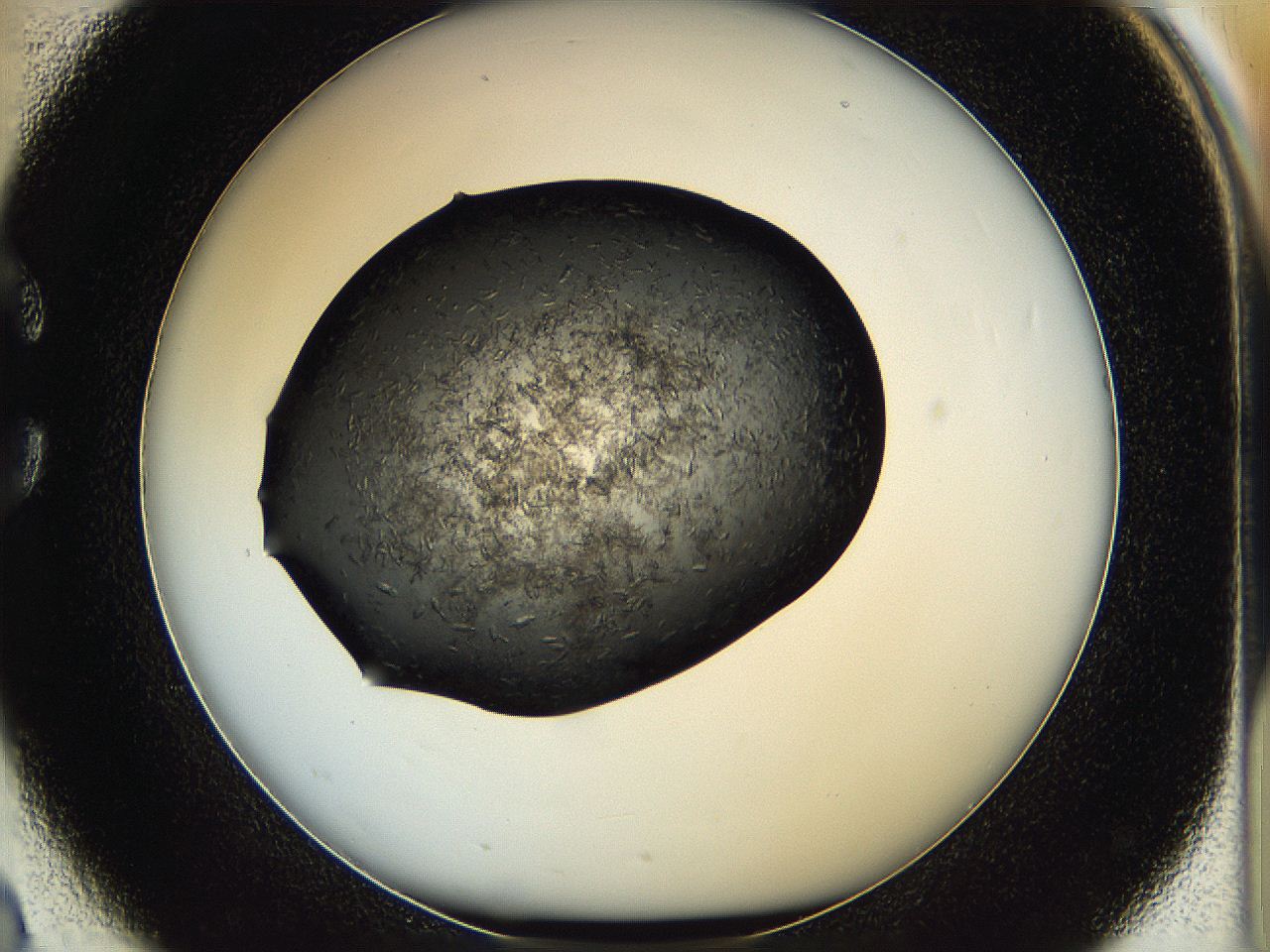 05hv_C2_ImagerDefaults_6.jpg