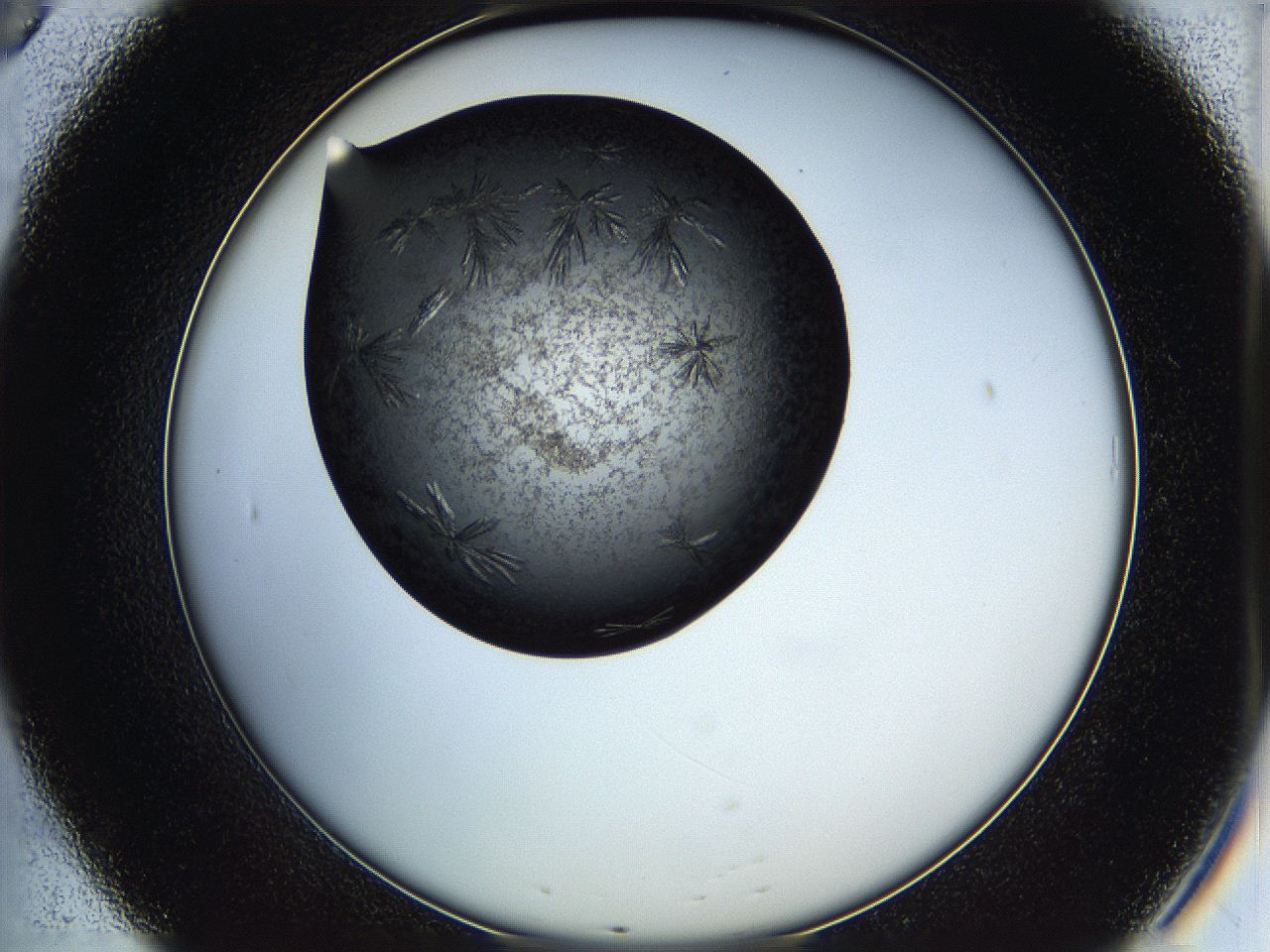 05hv_B8_ImagerDefaults_6.jpg