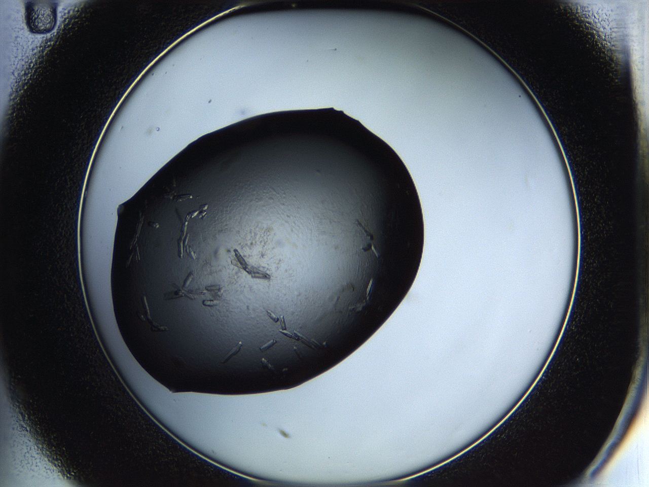 05hv_C11_ImagerDefaults_6.jpg