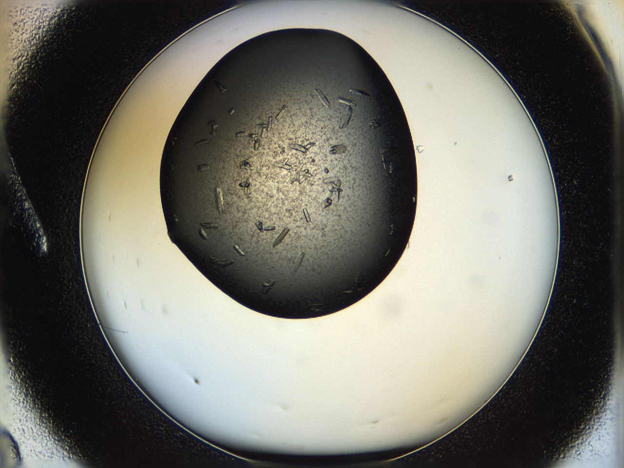 05hv_A8_ImagerDefaults_8.jpg
