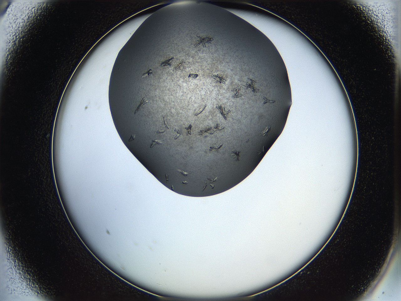 05hw_A9_ImagerDefaults_7.jpg