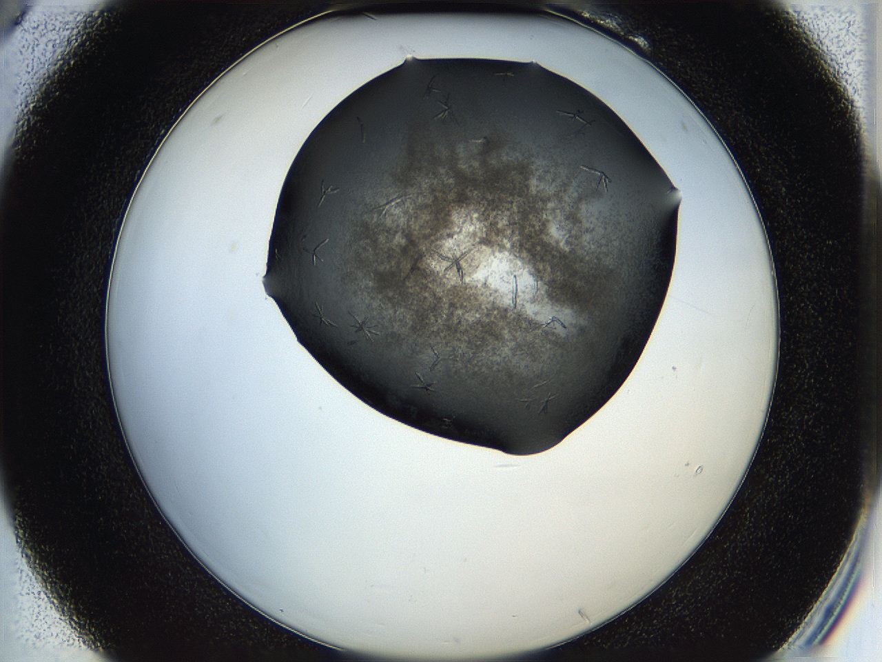05hw_B6_ImagerDefaults_6.jpg