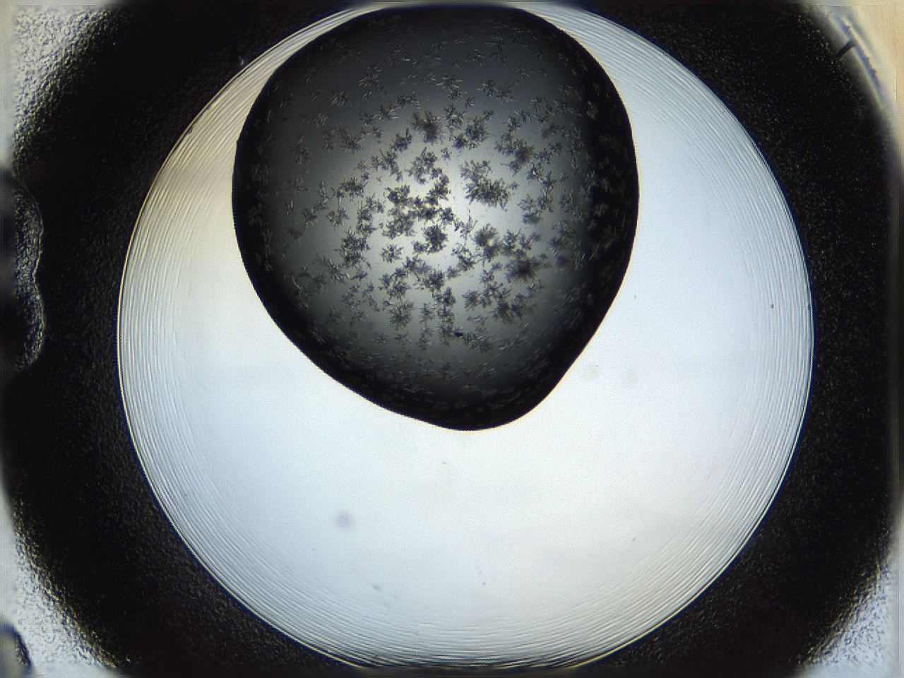 05hw_B8_ImagerDefaults_6.jpg