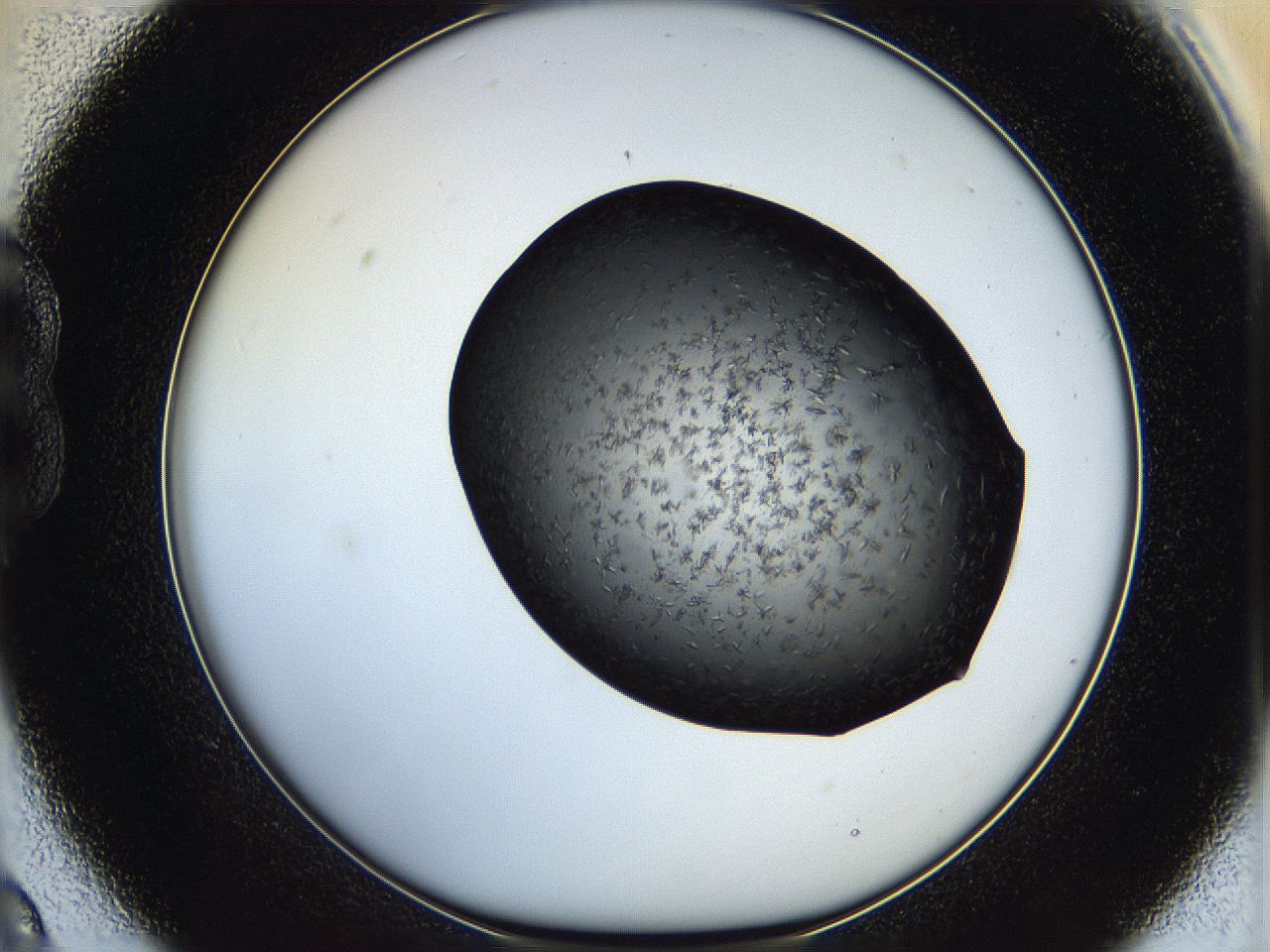 05hw_B9_ImagerDefaults_6.jpg