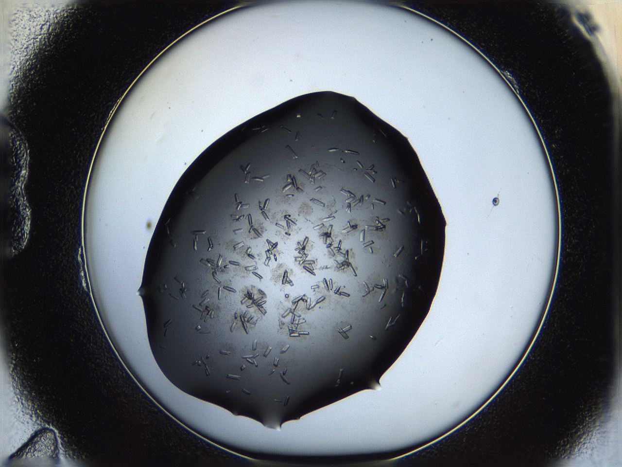 05hw_B11_ImagerDefaults_7.jpg