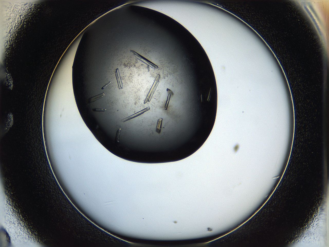 05hw_C8_ImagerDefaults_9.jpg