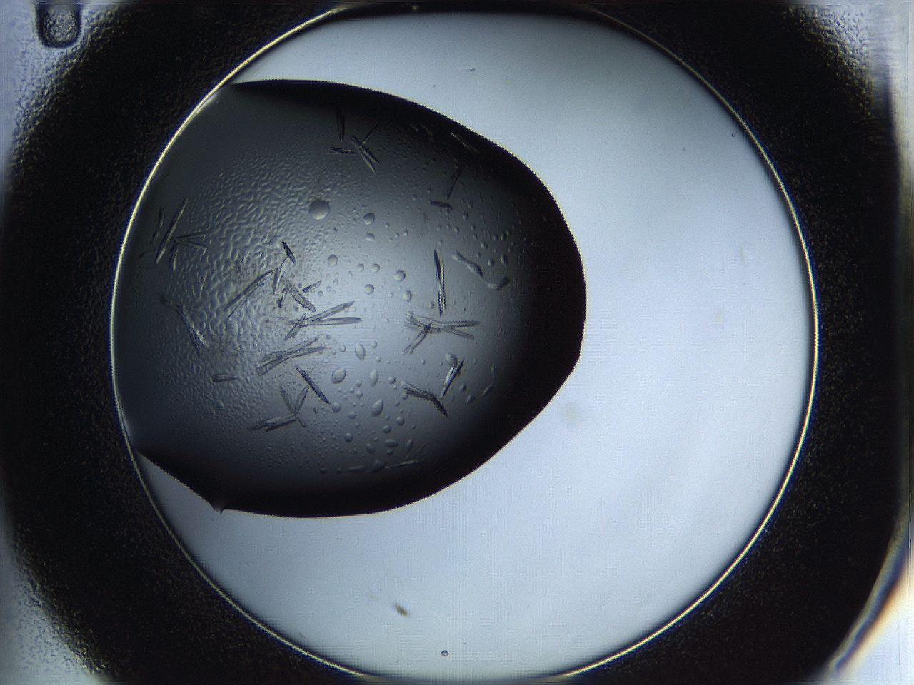 05hw_C11_ImagerDefaults_7.jpg