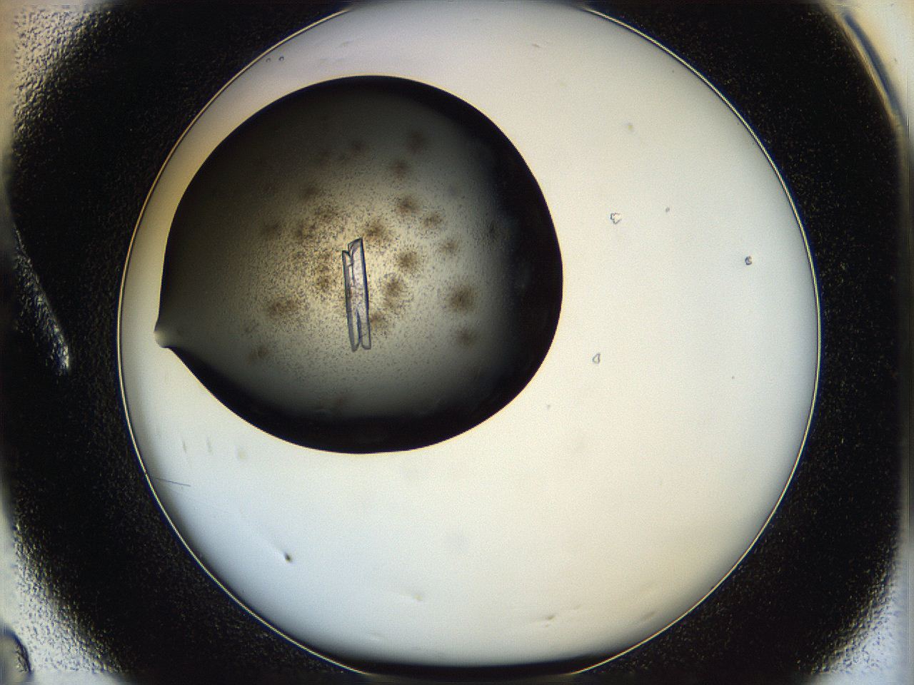 05hw_A8_ImagerDefaults_9.jpg