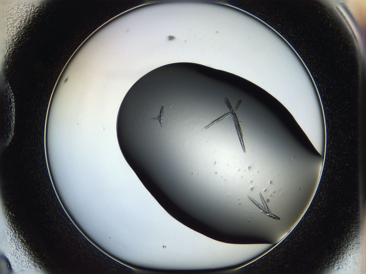 05hw_D8_ImagerDefaults_8.jpg